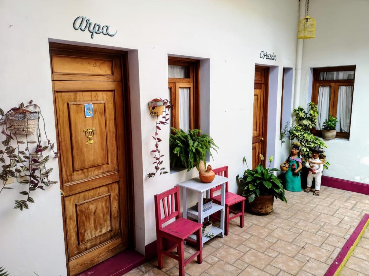 El Diablo Y La Sandia B&B Oaxaca Exterior photo